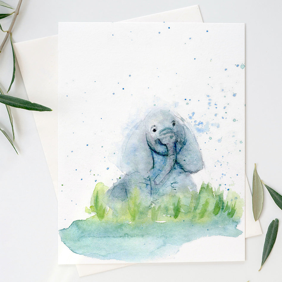 Farewell Safari Bundle
