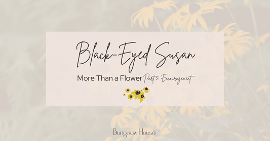 Black-Eyed Susan Cover Image