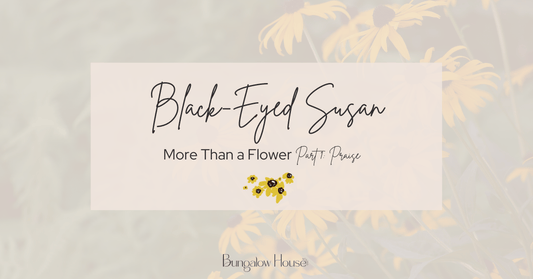 Black-Eyed Susan Cover Image