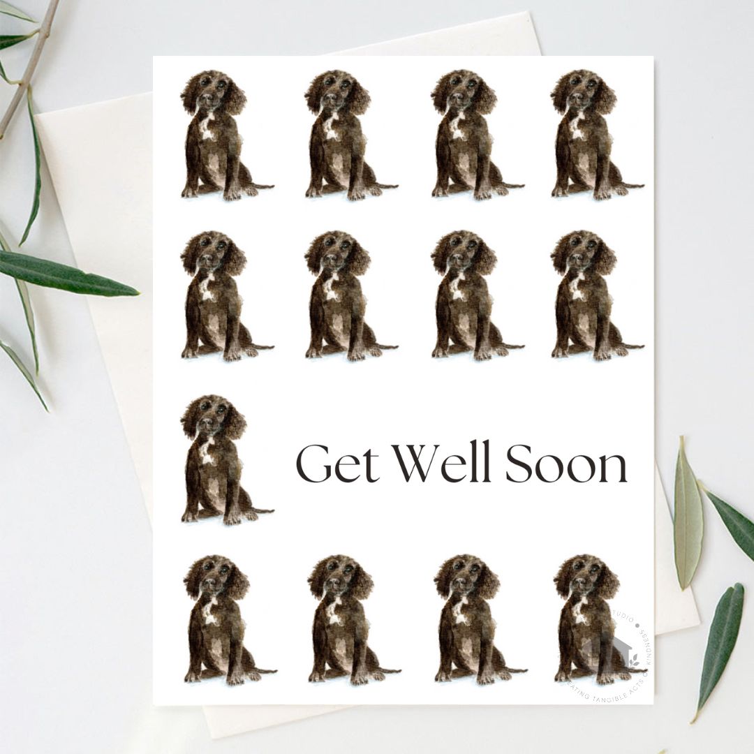 "SIT" Greeting Cards