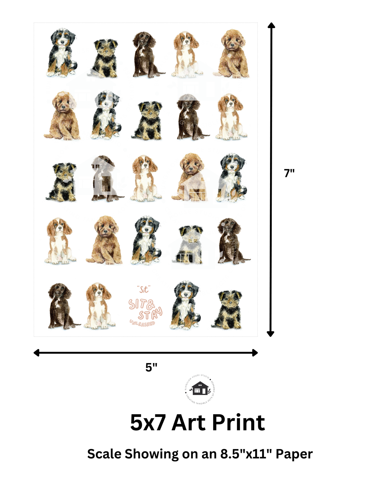 Cocker Spaniel Art Prints