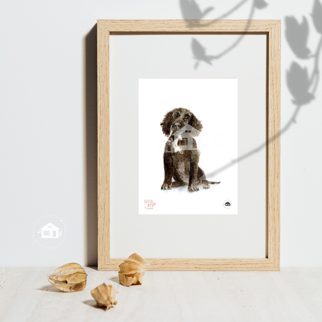 Cocker Spaniel Art Prints