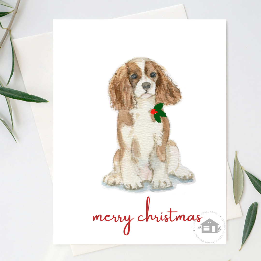 A Cavalier King Charles Spaniel Christmas