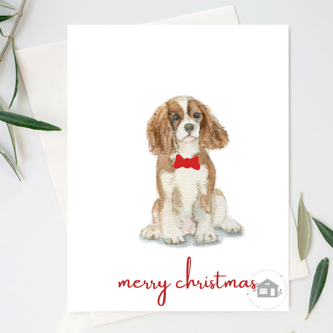 A Cavalier King Charles Spaniel Christmas