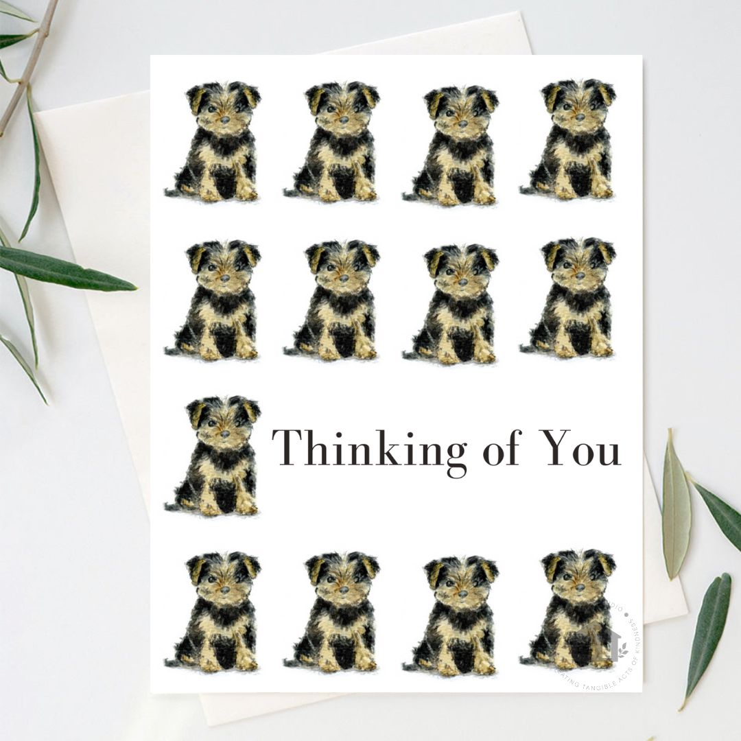 "SIT" Greeting Cards