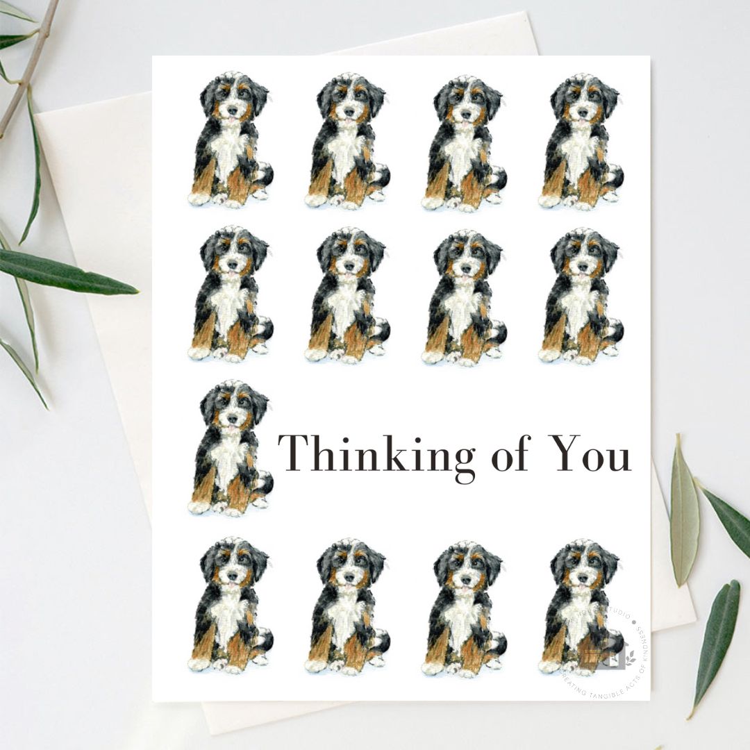 "SIT" Greeting Cards