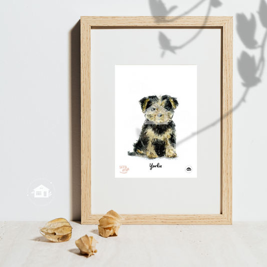 Yorkie Art Prints