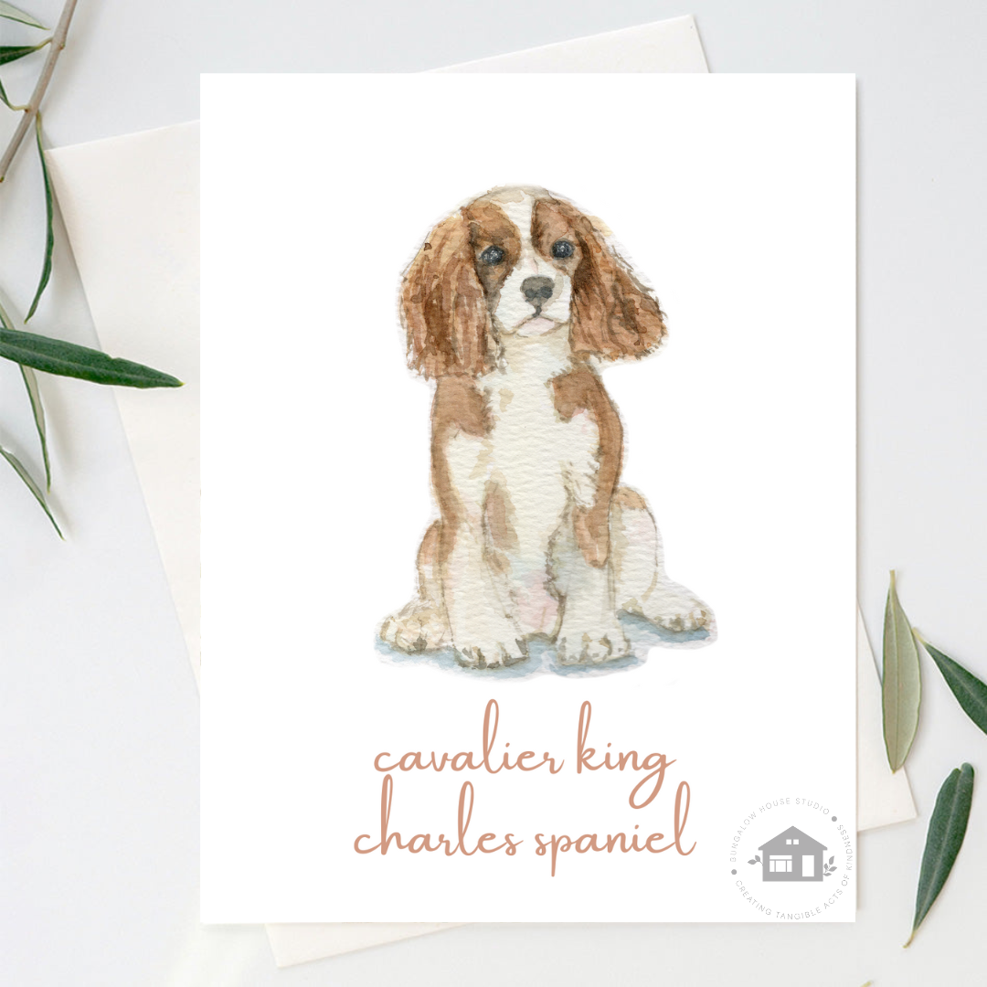 Cavalier King Charles Spaniel Greeting Cards