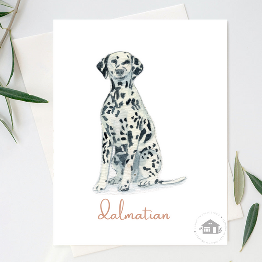 Dalmatian (Breed)