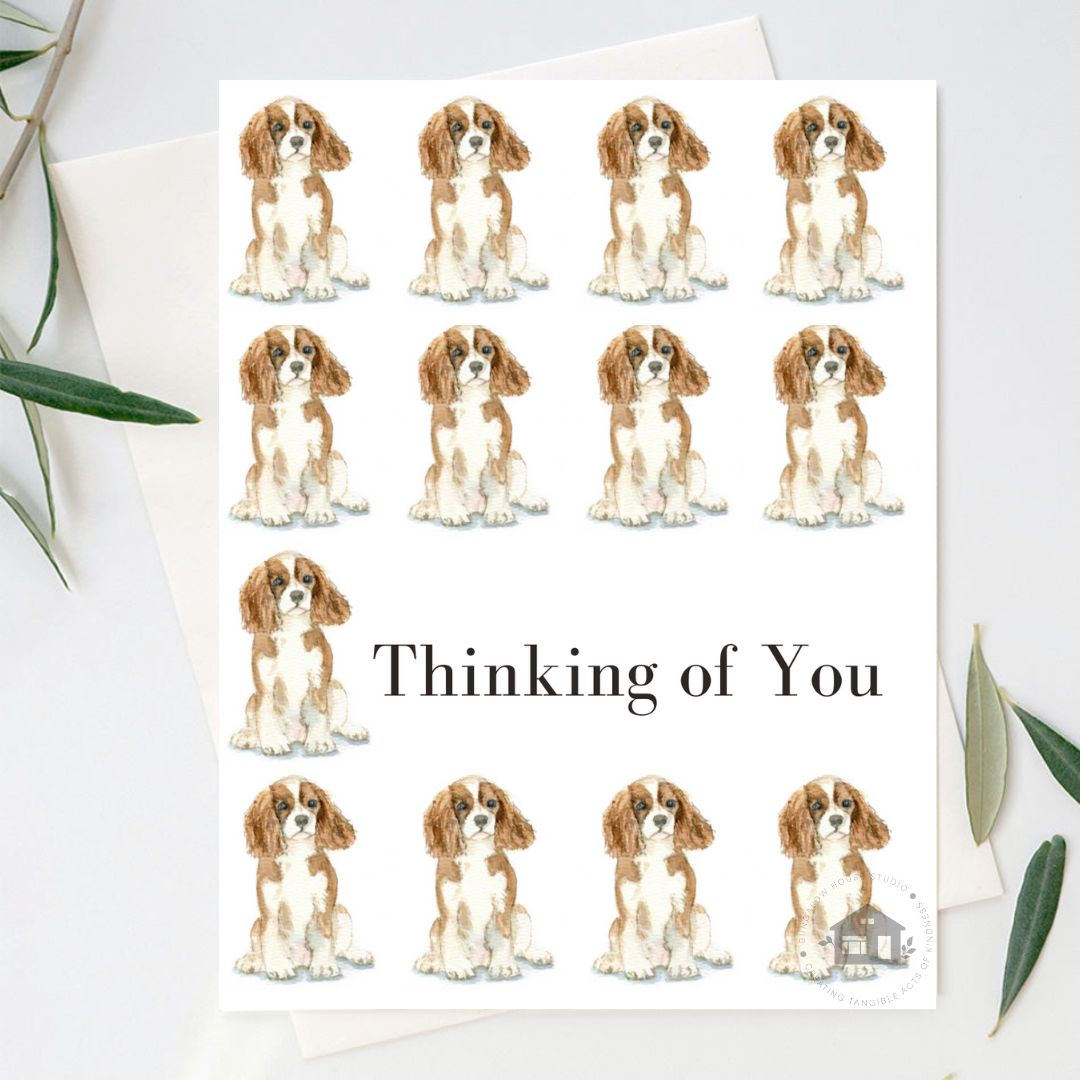 "SIT" Greeting Cards