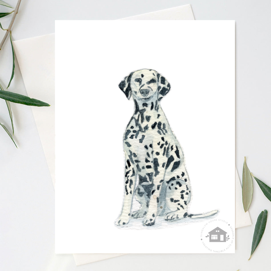 Dalmatian (Breed)