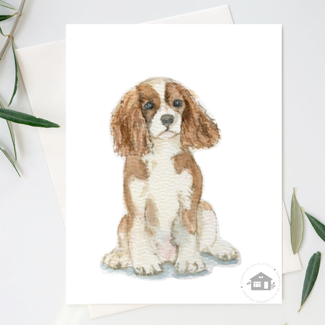 Cavalier King Charles Spaniel Greeting Cards