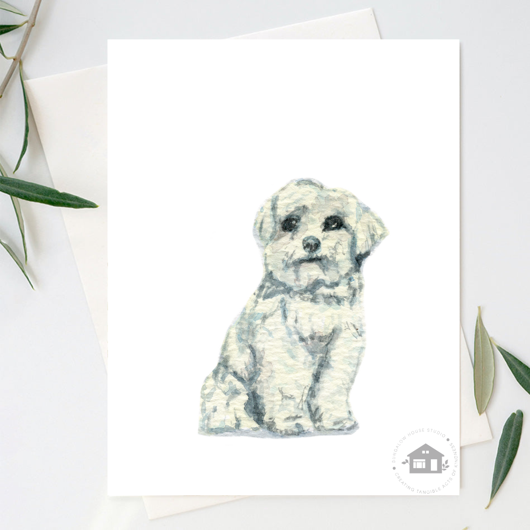 Maltese Greeting Cards