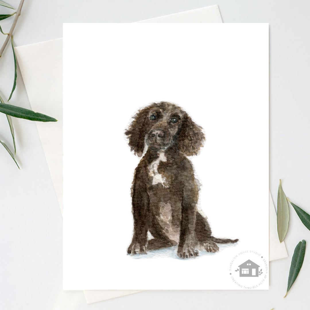 Cocker Spaniel Greeting Cards