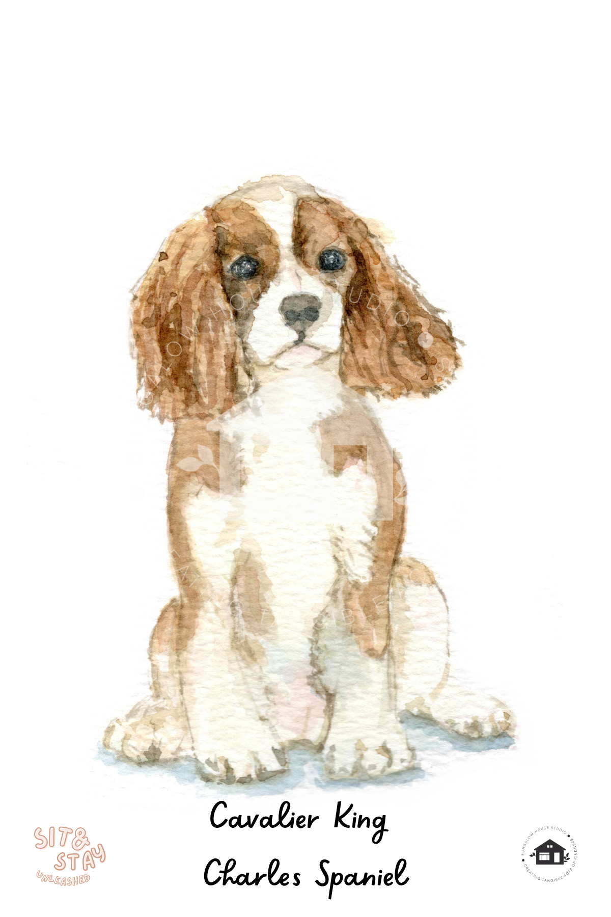 Cavalier King Charles Spaniel Art Prints