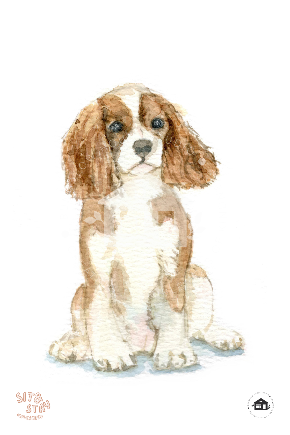 Cavalier King Charles Spaniel Art Prints