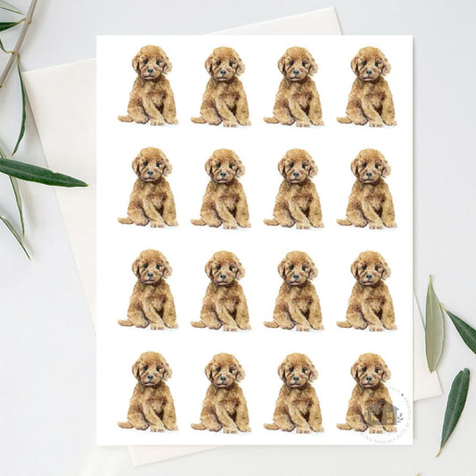 Goldendoodle Greeting Cards