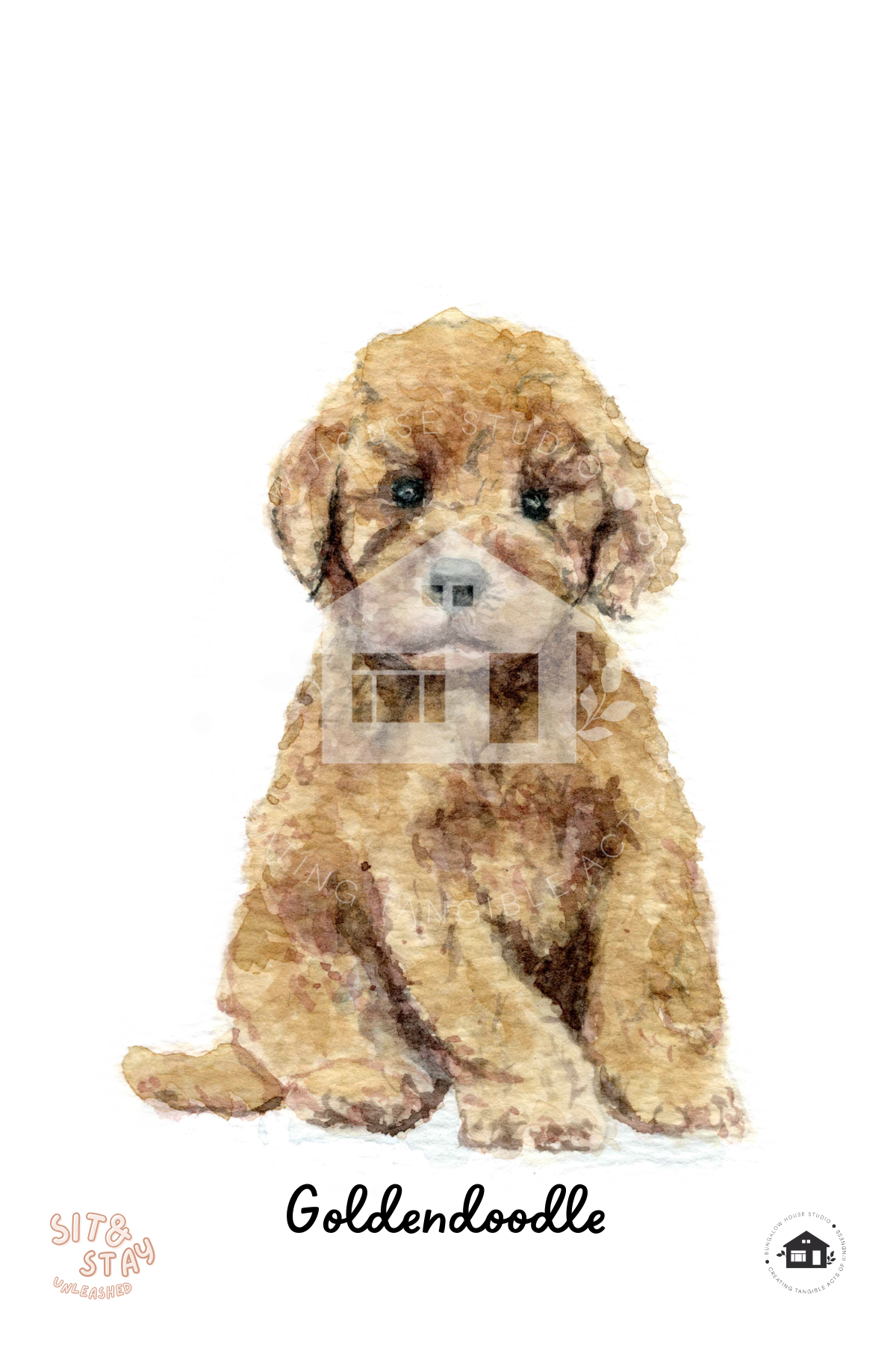 Goldendoodle Art Prints