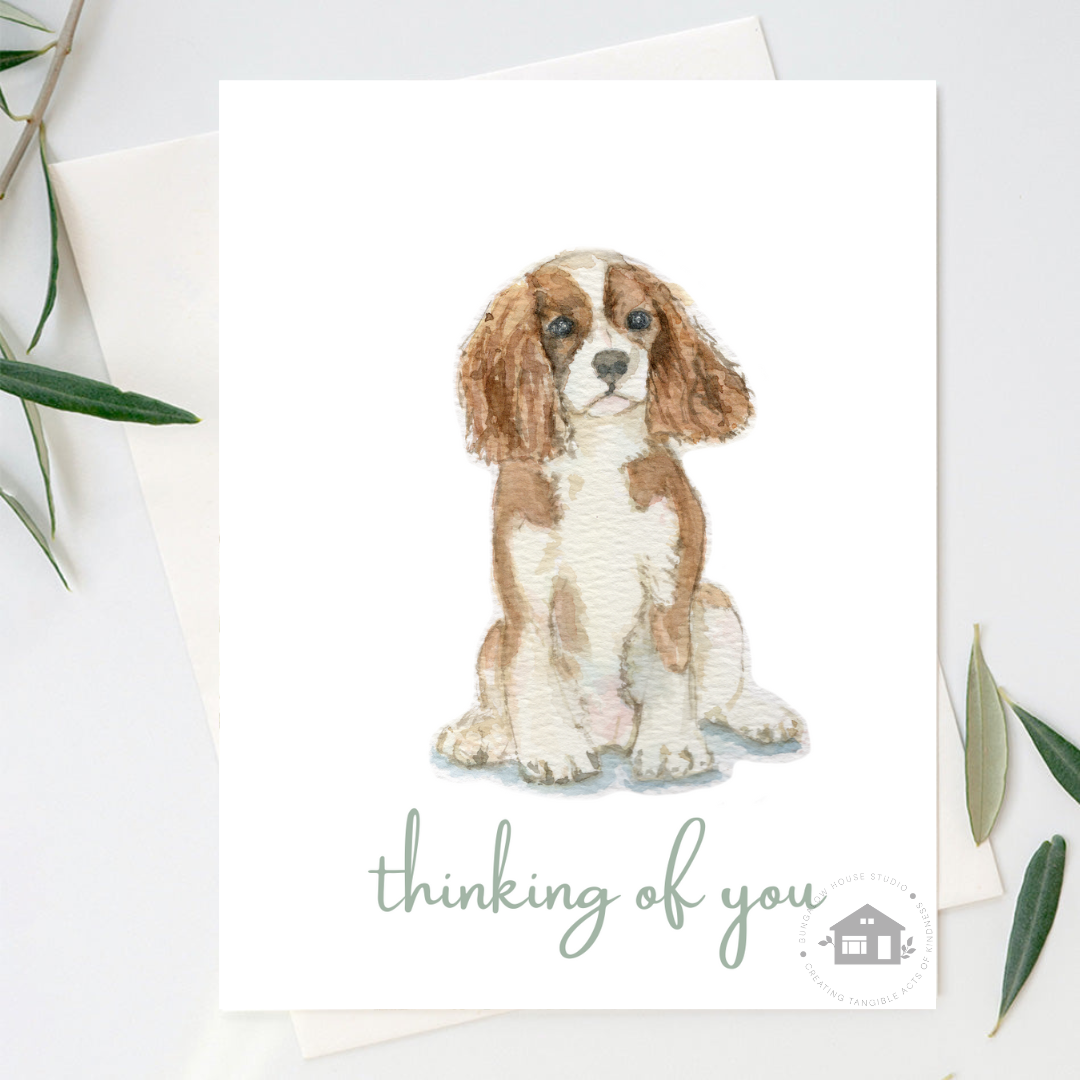 Cavalier King Charles Spaniel Greeting Cards