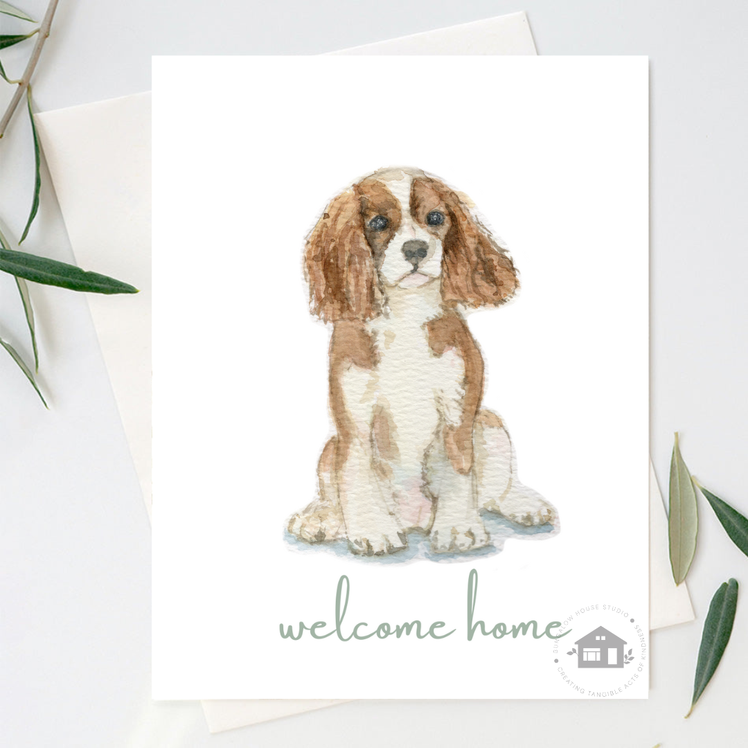 Cavalier King Charles Spaniel Greeting Cards