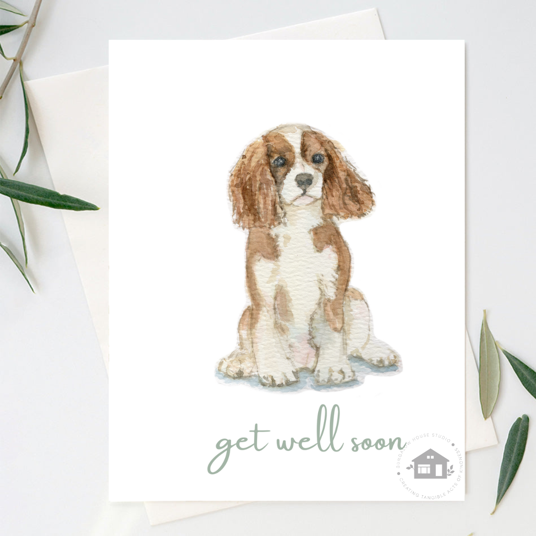 Cavalier King Charles Spaniel Greeting Cards