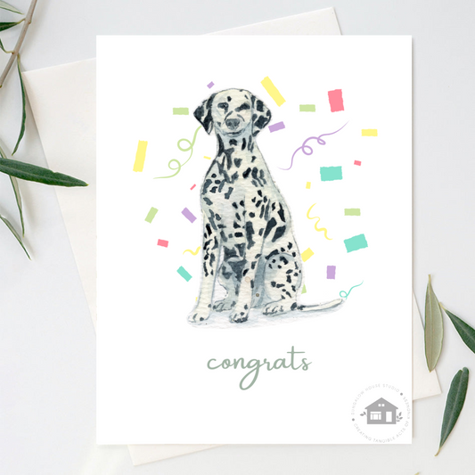 Dalmatian (Congrats)