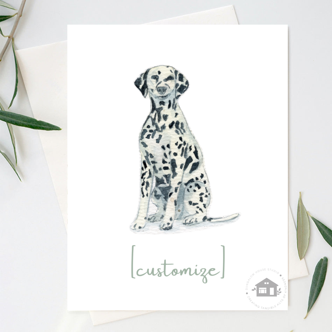 Dalmatian (Breed)