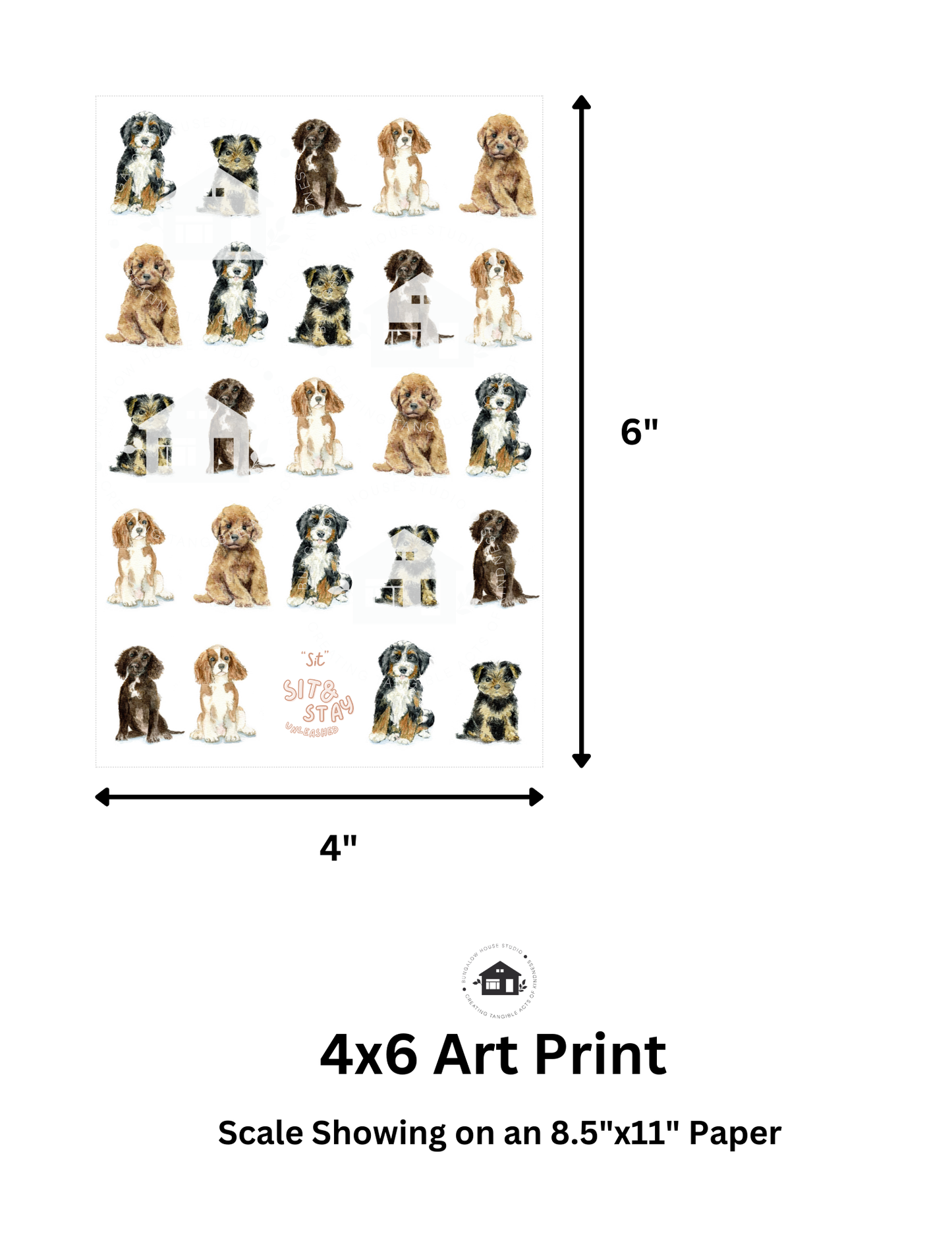 Cocker Spaniel Art Prints