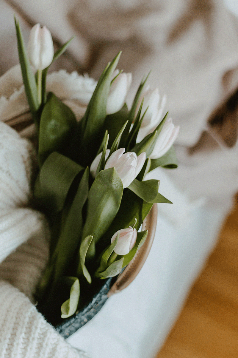 white tulips in basket with white blanket 